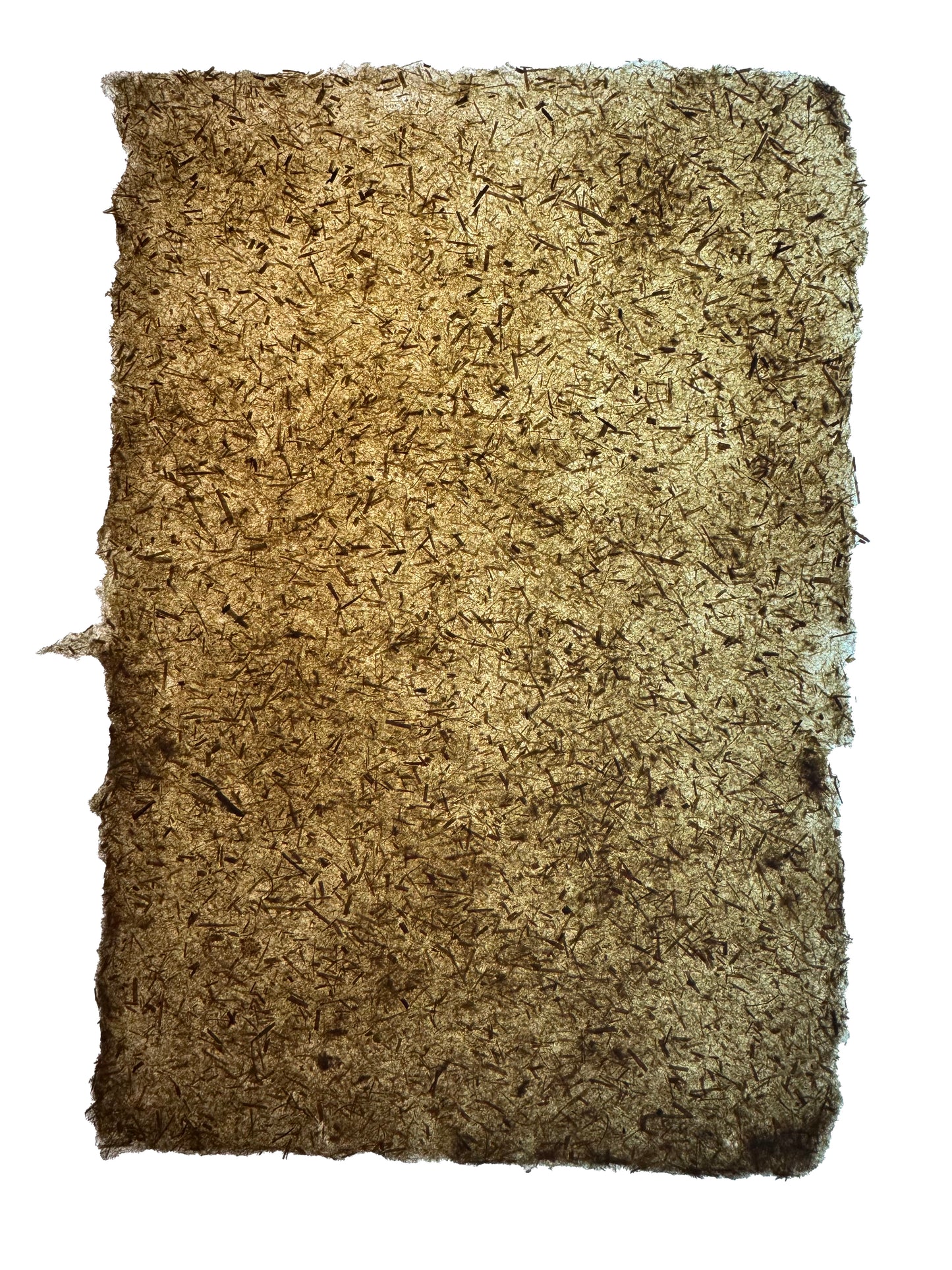 Maggie Janes Handmade Hemp paper 5 Sheets per Pack