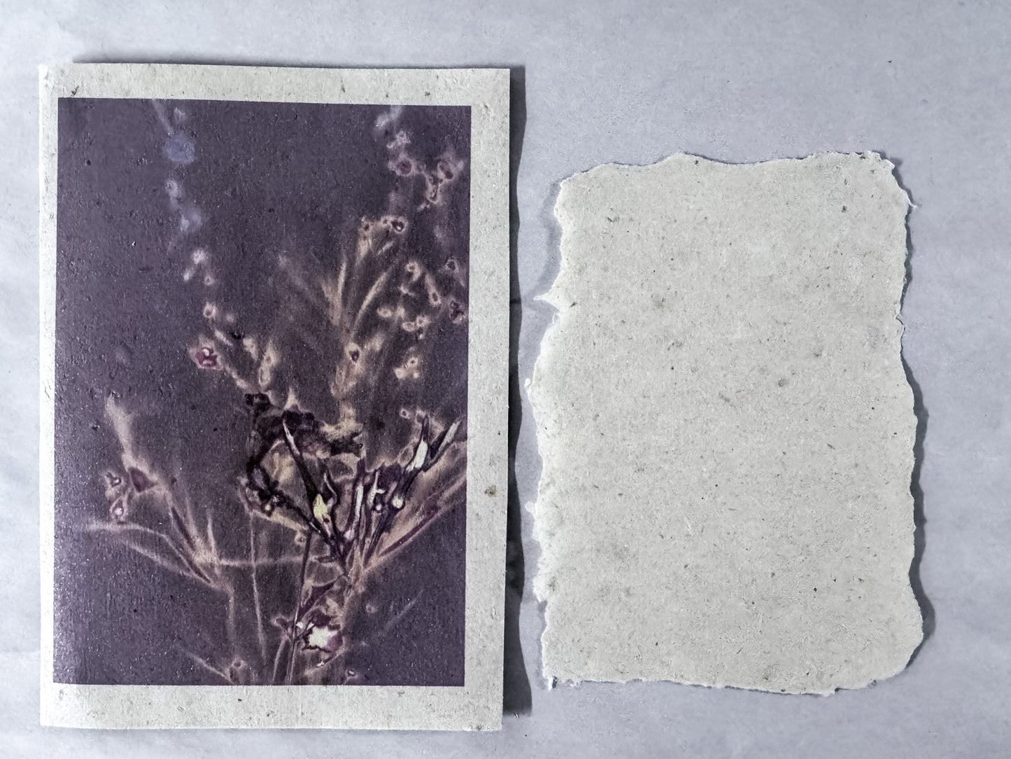 maggie janes Luman Print cards on hand made hemp paper