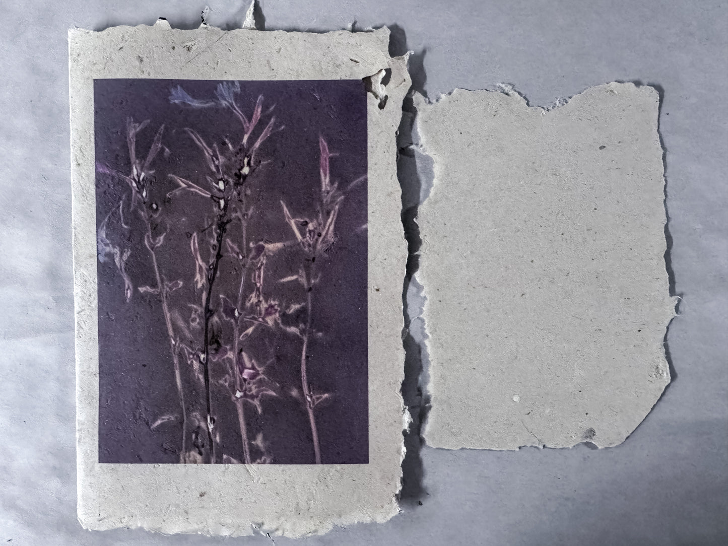 maggie janes Luman Print cards on hand made hemp paper
