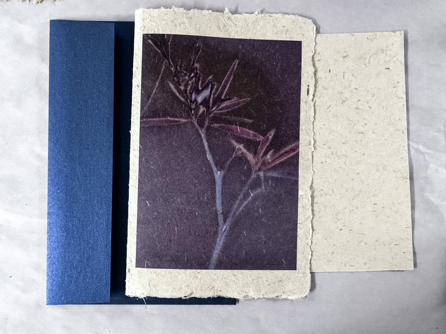 maggie janes Luman Print cards on hand made hemp paper