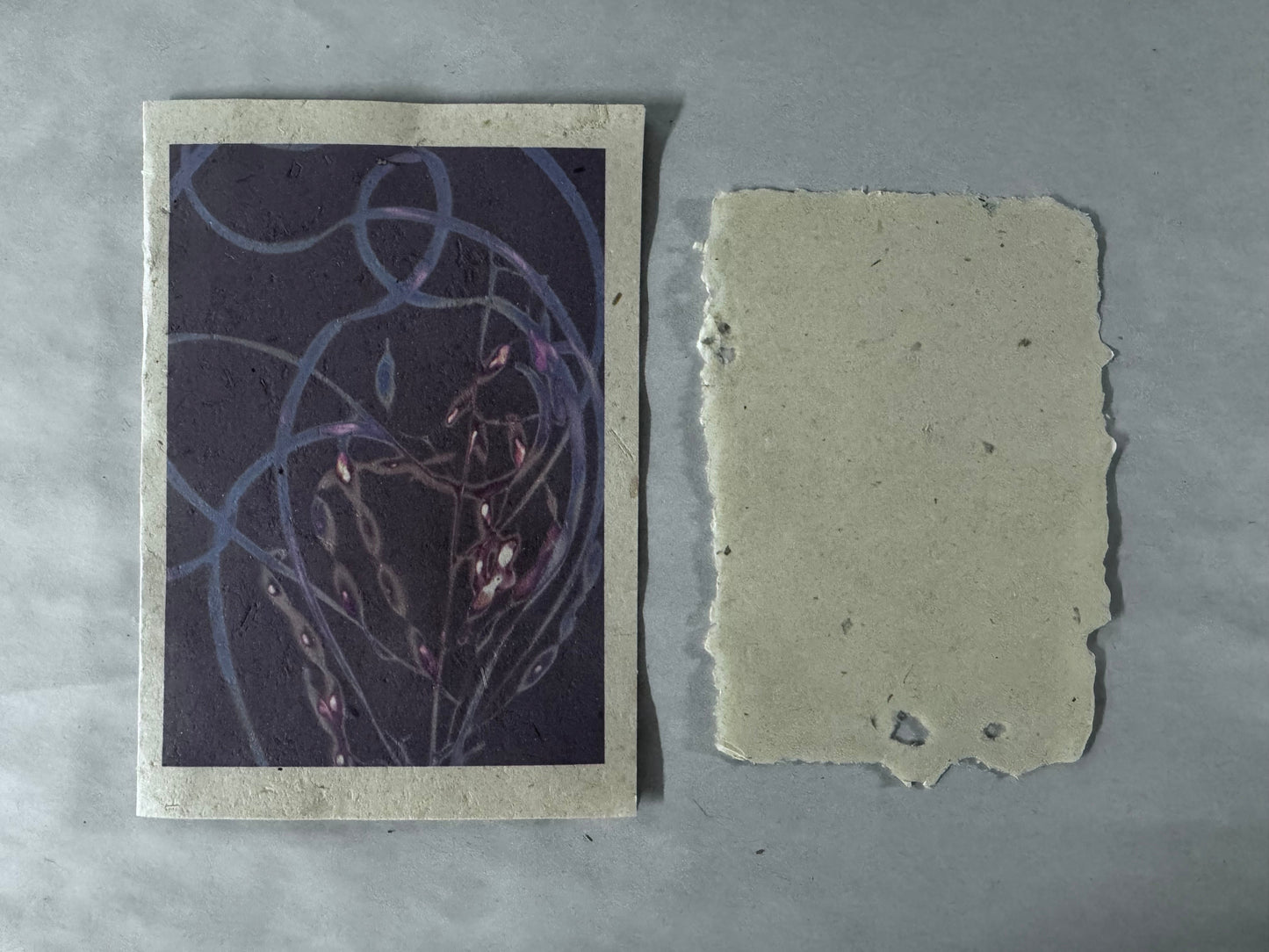 maggie janes Luman Print cards on hand made hemp paper