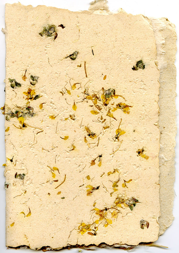 Maggie Jane's Handmade Hemp Journals and Blank Books