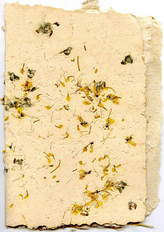 Maggie Jane's Handmade Hemp Journals and Blank Books