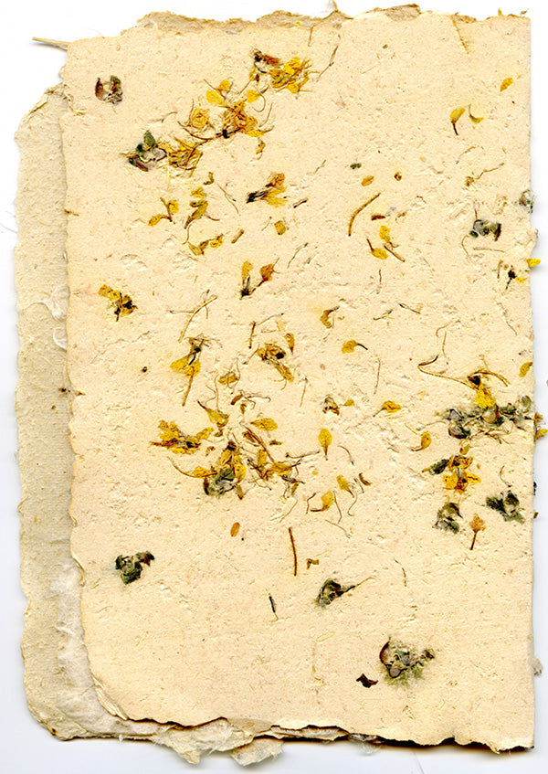 Maggie Jane's Handmade Hemp Journals and Blank Books