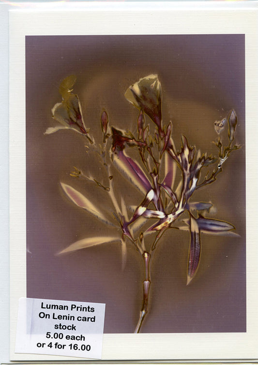 Luman Print on Linen paper